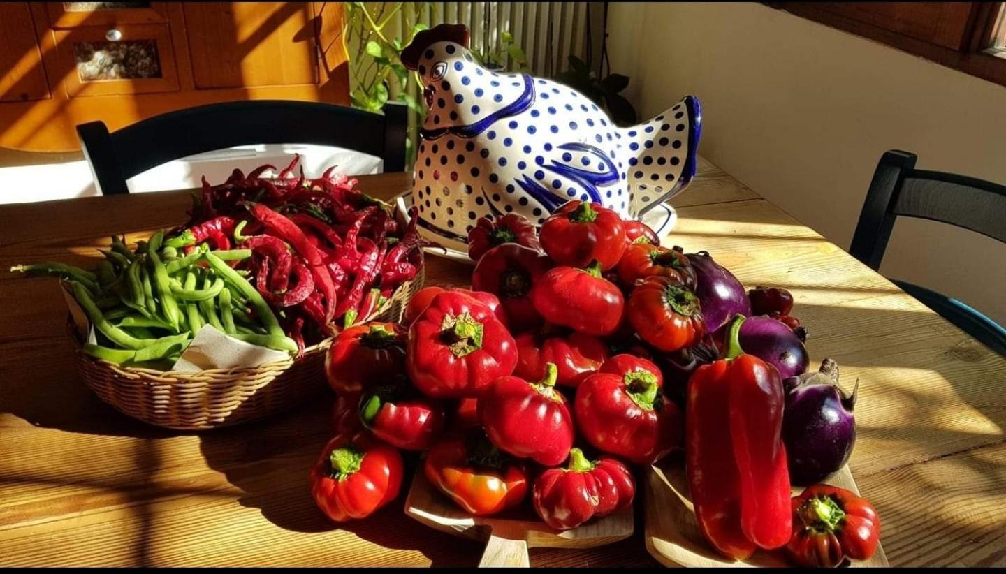 Il Giardino Di Frafa Apartment Quartu Sant'Elena Luaran gambar